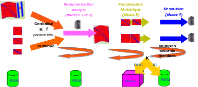 _images/Shape7.gif
